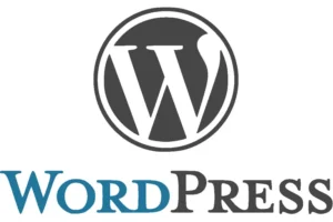 Is it possible to customize the theme on a free WordPress.com site?